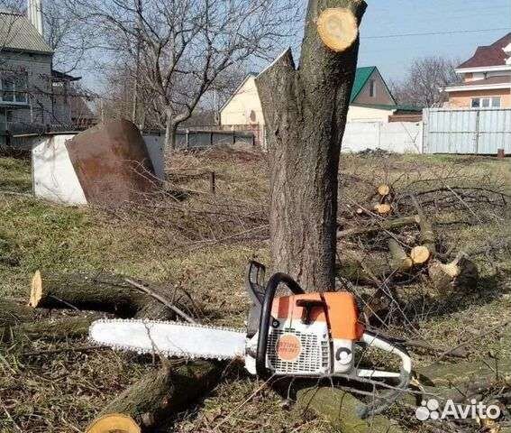 Спил деревьев, покос травы, расчистка участков