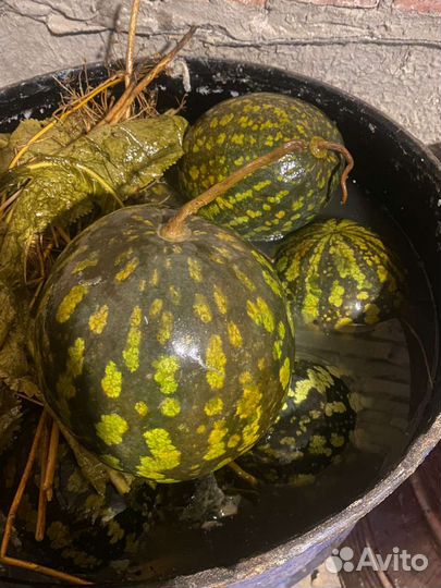 Арбуз бочковой, арбуз солёный, соленья