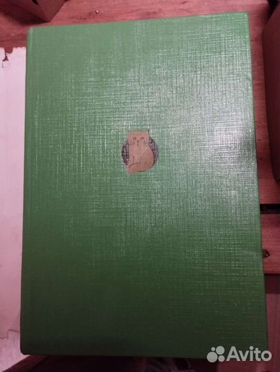 Соседи по планете. Домашние животные