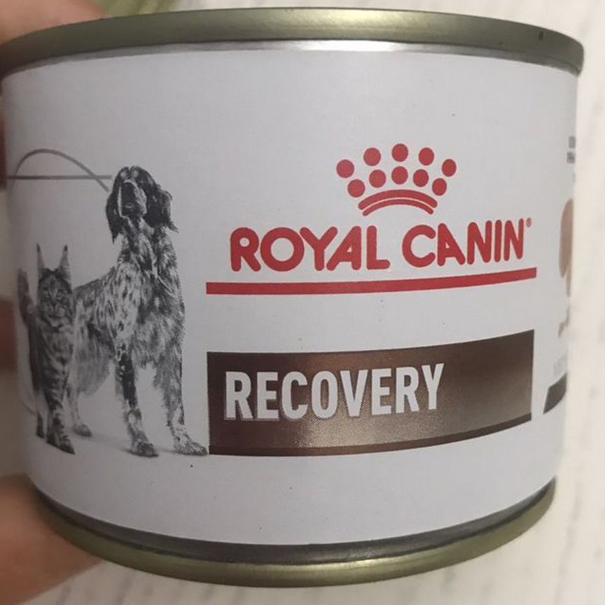 Royal canin recovery