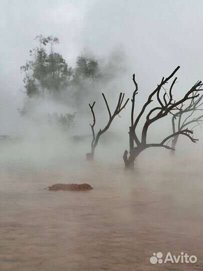 Джип тур Абхазия которой нет города призраки