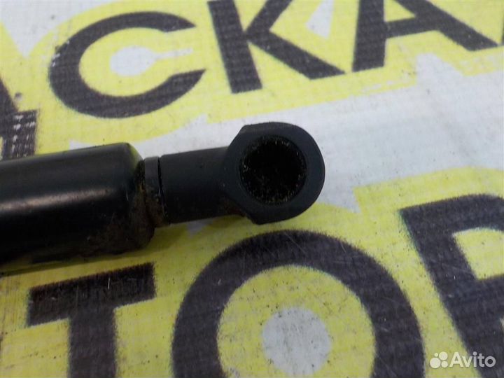 Амортизатор стекла багажника Volkswagen Touareg I