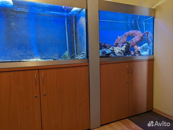 Аквариумы с тумбой светом, фильтры eheim