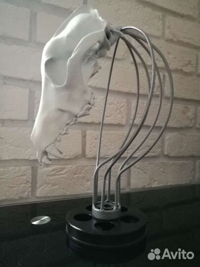 Предмет интерьера, декор,череп, подарок