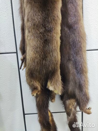 Цельная шкурка норка