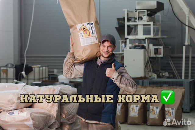 Корм для собак