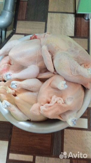 Домашние бройлеры очень вкусные