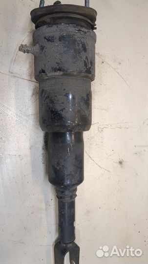 Амортизатор подвески Lexus LS460, 2007