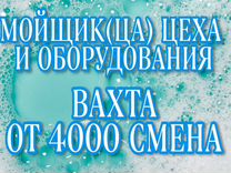 Вахта Брянская область / Мойщики(цы) цеха