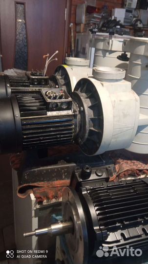 Kripsol Ondina Ninfa nk,OK,kapri KA, KAP, KS