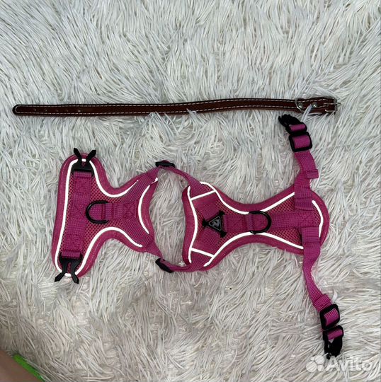 Одежда и амуниция для собак