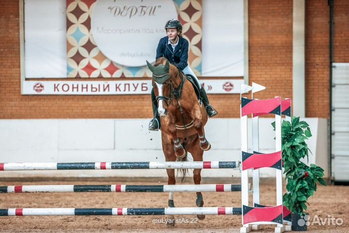 Лошадь в аренду