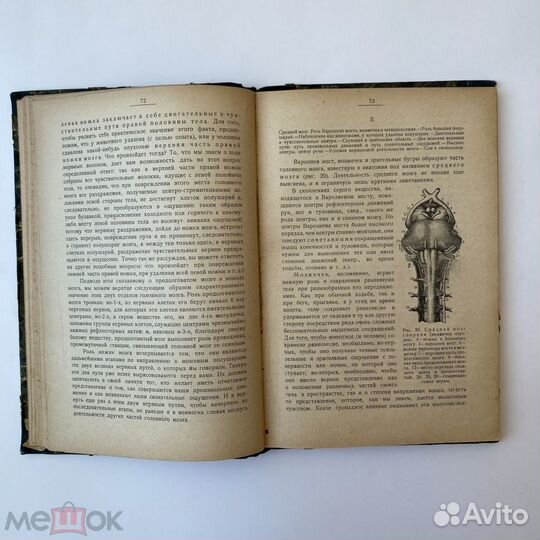 Е.А. Аркин. Физиология человека. 1919 год