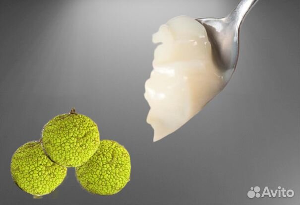 Мазь маклюры