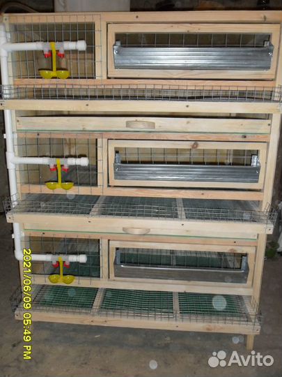Клетки для перепелов