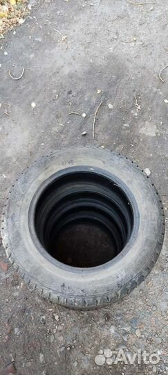 Gislaved Nord Frost 5 195/65 R15