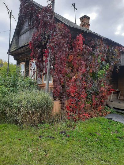 Дом 38,6 м² на участке 10,7 сот.