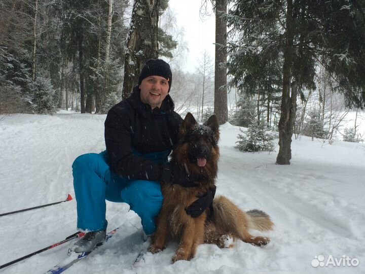 Грузоперевозки по России