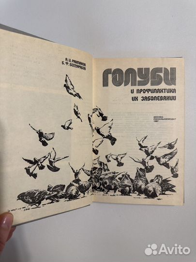 Рахтанов А.И. Голуби и профилактика их заболеваний