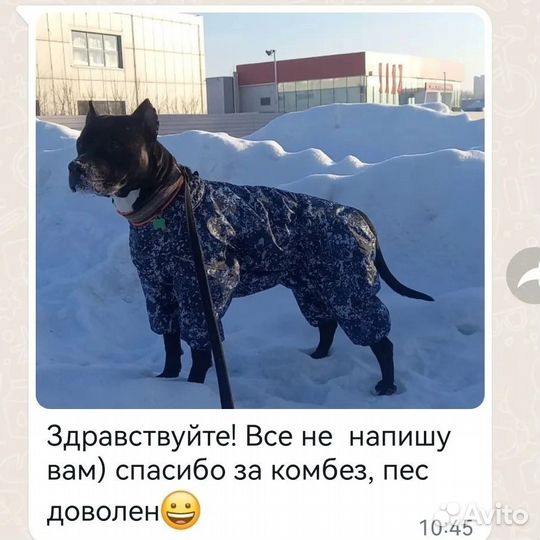 Комбинезон для собаки новый зимний