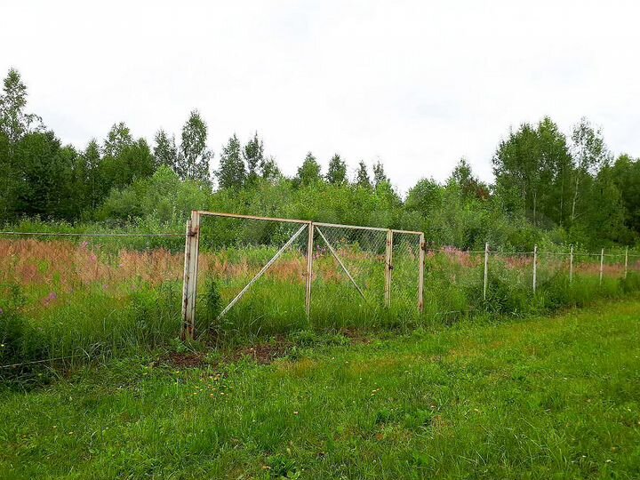 Участок 12 сот. (СНТ, ДНП)