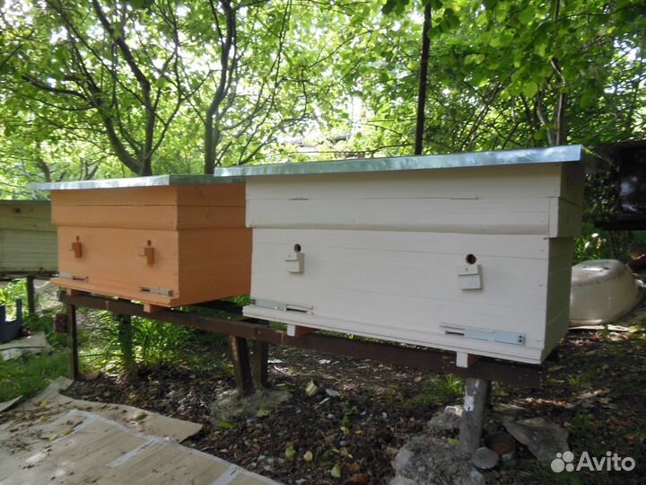 Рамки для пчел, улья-лежаки, рамоносы