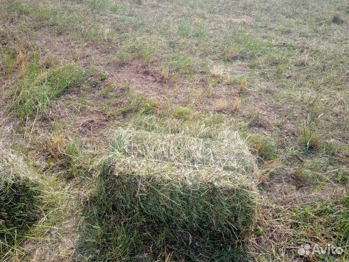 Сено и солома