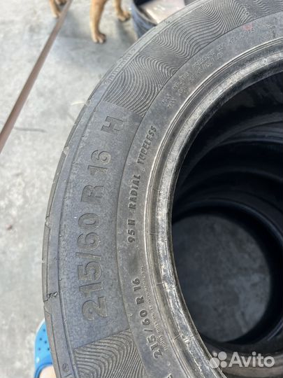 Continental ContiPremiumContact 215/60 R16 95H
