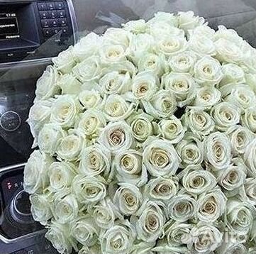 Высокие Высокие розы Гигантские розы Букеты Достав