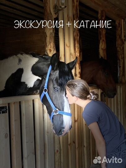 Экскурсия на конюшню