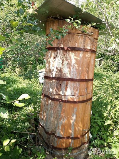 Колода для пчел