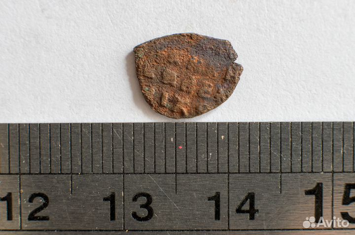 Медная чешуйка