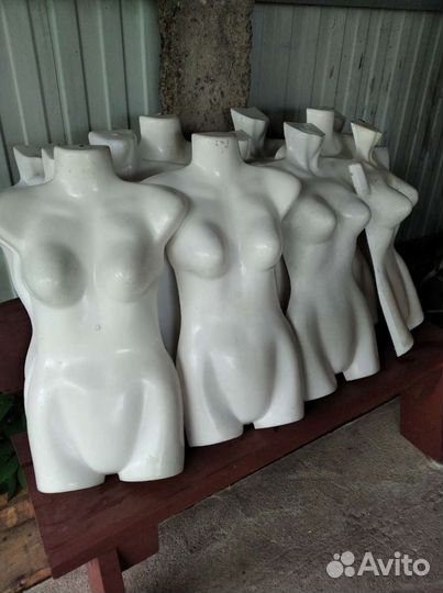 Женский торс