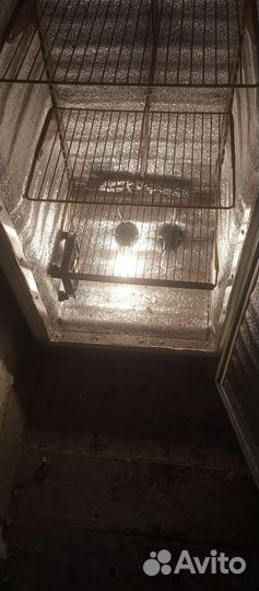 Ферментатор