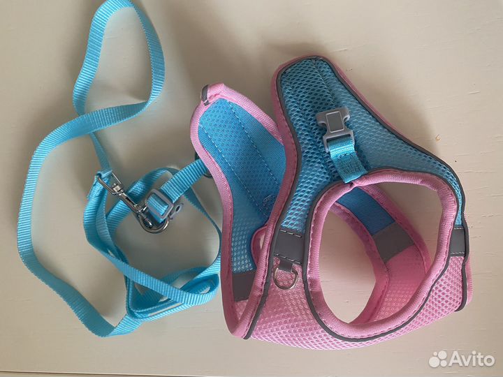 Новая Шлейка с поводком