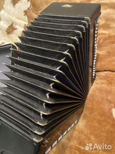 Баян Этюд 205