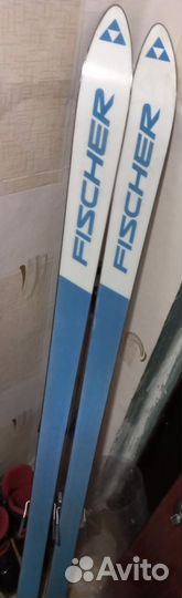 Горные лыжи Fischer