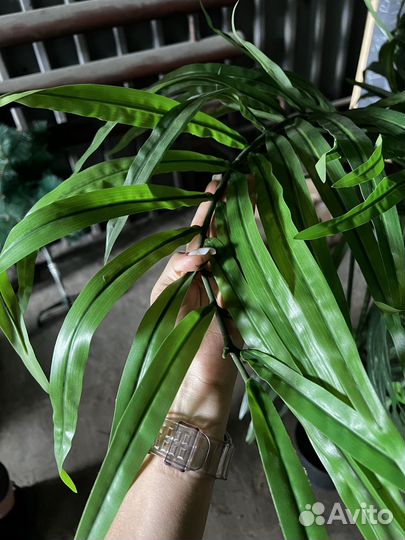 Искусственные растения для декора