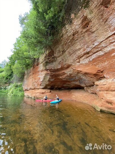 Сап доска на прогулку р. Оредеж