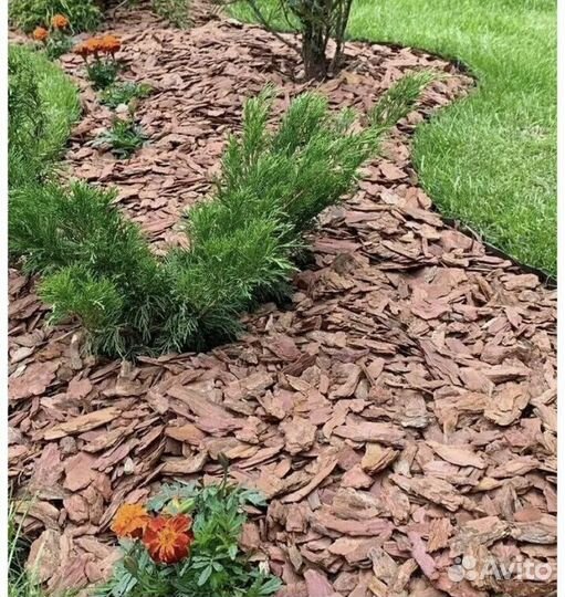 Мульча кора лиственницы