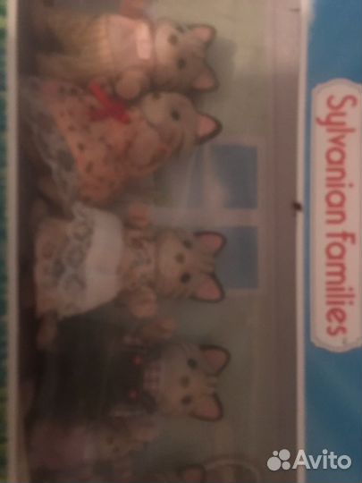 Праздничные коты