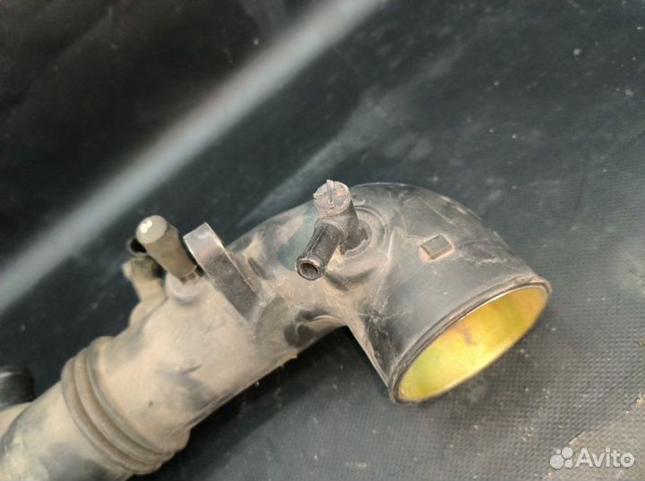 Самка Subaru Forester SG5 EJ205 2005