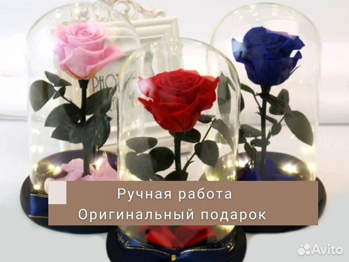 Розы в колбе разные