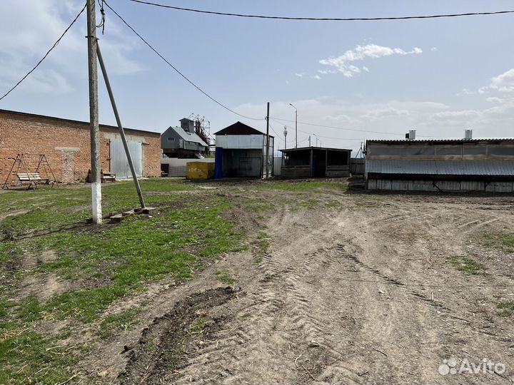 Животноводческая ферма