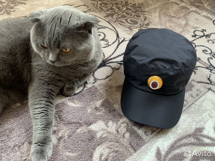 Кепка демисезонная полиции нового образца 56