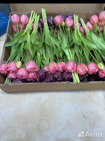 Тюльпаны силиконовые