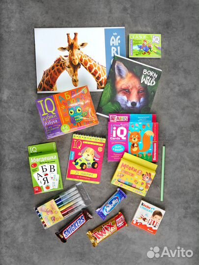 Подарочный развивающий набор для 5-7 лет Эксклюзив