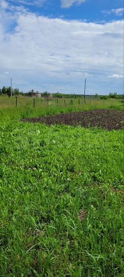 Участок 10 сот. (ИЖС)