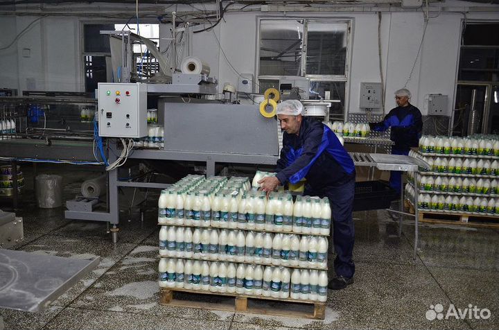 Грузчик ежедневная оплата