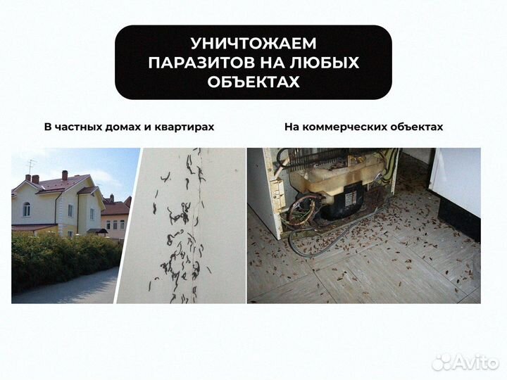 Уничтожение паразитов с гарантией под ключ